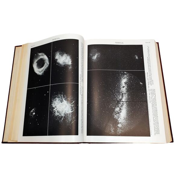 1959 Edition Encyclopedia Britannica Vtg HC Volume 16 MUSHR to OZON Education - Picture 13 of 16